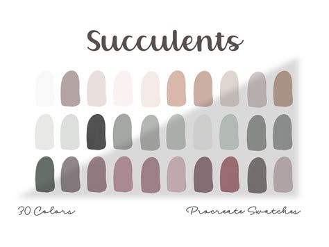 Succulents Procreate Color Palette Graphic By Mandalabunnydigital · Creative Fabrica