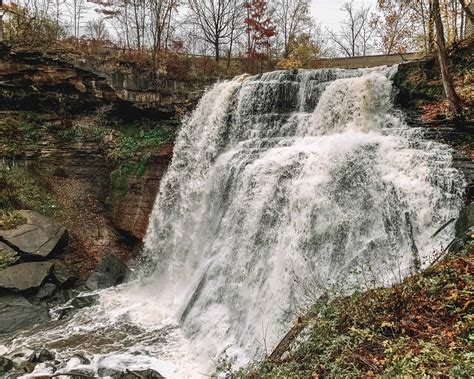 Gojo Cuyahoga Falls at Marilyn Munoz blog