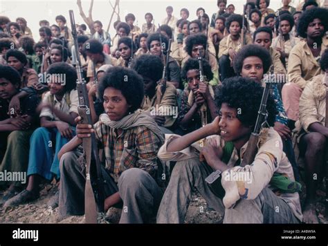 Ethiopia Eritrea Stockfotos Ethiopia Eritrea Bilder Alamy