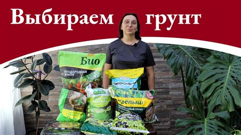 Выбираем грунт для рассады! - YouTube
