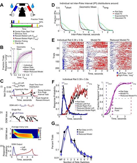 Performance And Modeling Of The Temporal Bisection Task A Upper