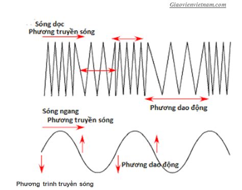 Tại sao sóng cơ là gì trắc nghiệm là câu hỏi quan trọng trong lĩnh vực ...