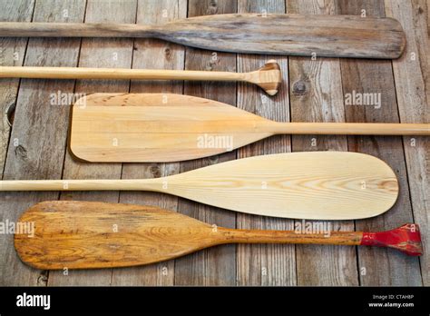 Different Canoe Paddle Shapes At Daryl Hudson Blog
