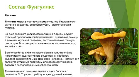 Фунгуликс - презентация онлайн