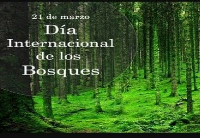 De Marzo D A Internacional De Los Bosques Corredor Biol Gico En