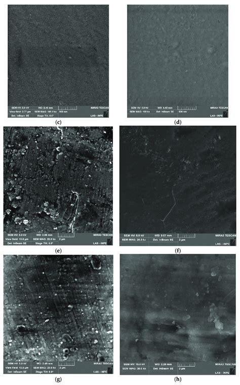 Scanning electron microscopy (SEM) micrographs of the studied samples ... 