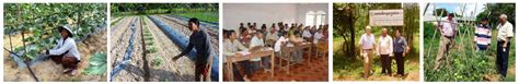 cambodian microfinance  farmer associations glenhill consulting