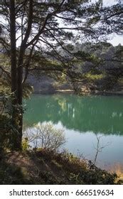 532 Clay Pit Pond Images, Stock Photos & Vectors | Shutterstock