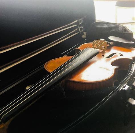 Pin By Angelina Suzuya On Music In Violin Music School Violin Case