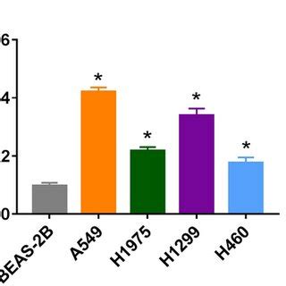 Expression Of Circ In Nsclc Tissues And Cells A Qrt Pcr Assay