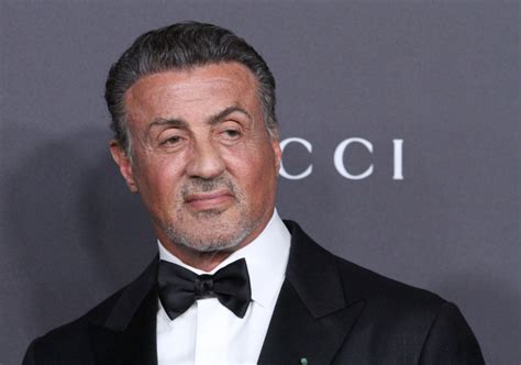 Sylvester Stallone Under Investigation For Sexual Assault Osundefender