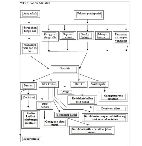 Sinusitis Kumpulan Materi Kuliah