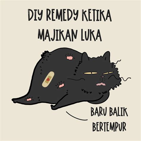 Buat Sendiri Natural Remedy Guna Kunyit Untuk Rawat Kucing Luka And Kurap