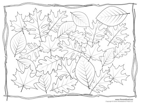 Leaf Templates & Leaf Coloring Pages for Kids | Leaf Printables