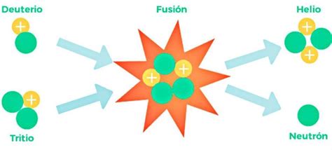 Estructura Nuclear Flashcards