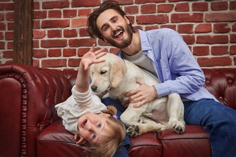 Divertir Se Um Cachorro Imagem De Stock Imagem De Amor Ocasional