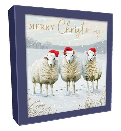 Boxed Christmas Cards Sheep And Robins Highworth Emporium