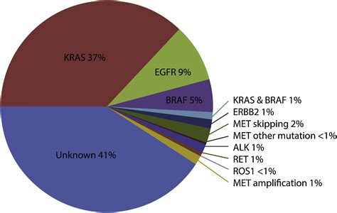 Highly Accurate Dna Based Detection And Treatment Results Of Met Exon 14 Skipping Mutations In