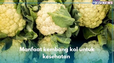 Kendalikan Berat Badan Hingga Tangkal Radikal Bebas Ini 7 Manfaat