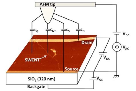 Figure A Schematics Of The Kfm Detection Setup Showing The M