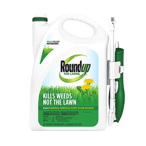 Our 6 Best Weed Killer Picks 2024 This Old House