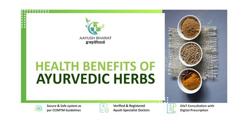 Health Benefits Of Ayurvedic Herbs Aayush Bharat Blog