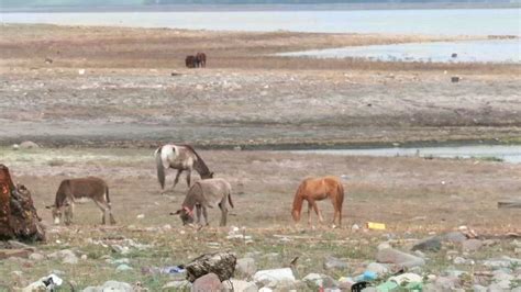 N Focus Presa Endhó el Fin del Infierno Ambiental en Tula Hidalgo