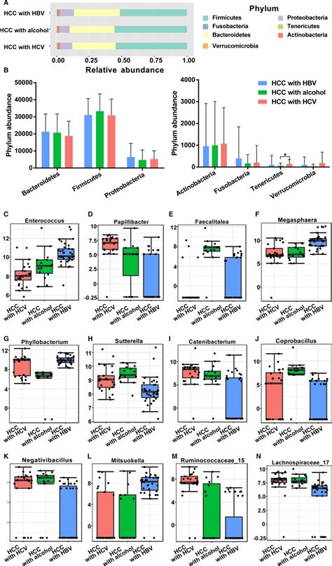 The Differences Of Gut Microbiota Among Three Groups At Phylum Level