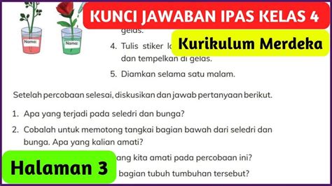 Kunci Jawaban Ipas Kelas 4 Hal 3 Kurikulum Merdeka Apa Kira Kira