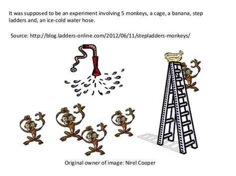 The monkey experiment