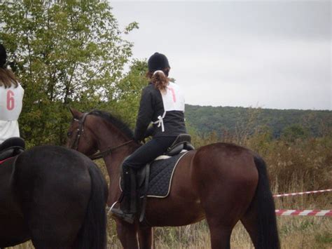 фотки с лошадьми - 12 фото. Сообщество Конный мир - группы Мой Мир.