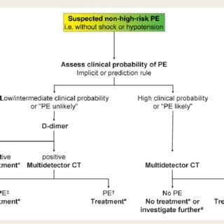 Proposed Diagnostic Algorithm For Patients With Suspected Non High Risk