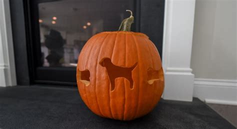 Dog-Themed Pumpkin "Carved" with Cookie Cutters