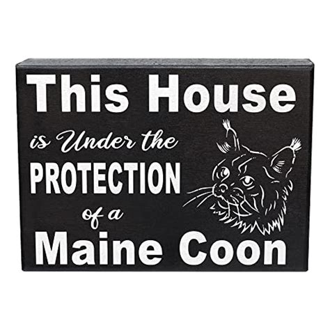 15 Best Gifts for Maine Coon Cat Lovers ???? The Pet Supply Guy