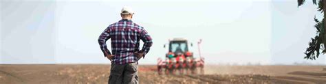 Psr Bando Per Il Premio Di Insediamento Giovani Agricoltori