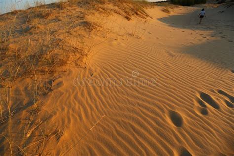 Sunset Landscape in Desert Dunes in Oleshky Sands, Ukraine Stock Image ...