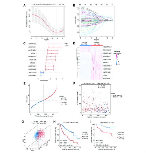 Construction Of The Risk Score Modelab Ois Related Lncrna Download Scientific Diagram