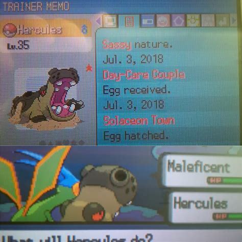 [gen 4] Evolved shiny Hippopotas in Hippowdon : r/ShinyPokemon