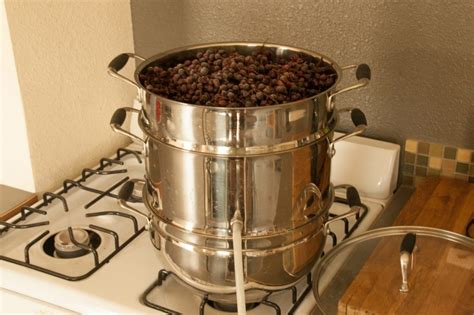 Steam Juice Extractor Recipes | Bryont Blog