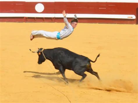 Feria de Dax Évènement à Dax