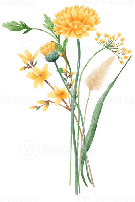 Handdrawn Watercolor Illustration Clipart Of Detailed Spring