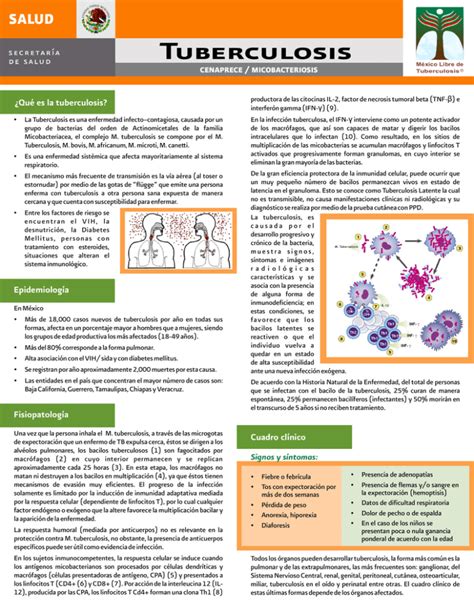 Ficha T Cnica Tuberculosis