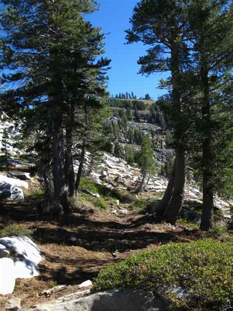 Mount Reba Hiking Stanislaus National Forest Mokelumne Wilderness