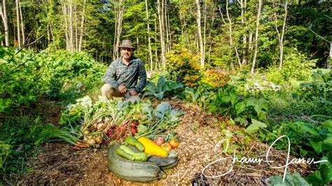 Vegetable Garden in the Forest, August Update | Self Sufficiency ...