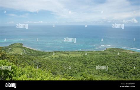 View Of The Lush Greenery And Caribbean Sea With Coastal Road From The