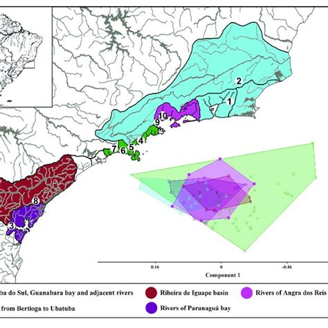 | Image showing the map of coastal rivers of southeastern of Brazil ...