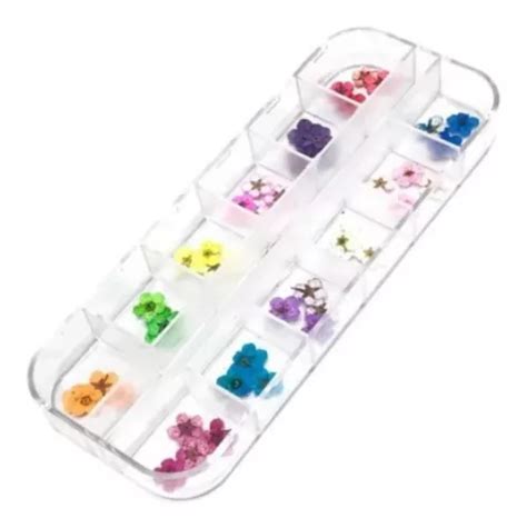 Flores Secas Encapsulamento Unhas Decoração Caixa Uv Led MercadoLivre