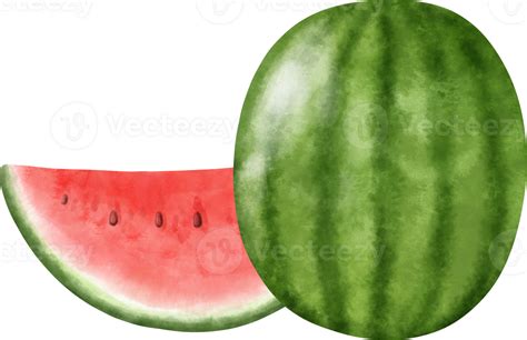 Watercolor Watermelon Illustration 27380104 Png