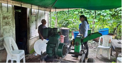 Aceite De Coco Un Producto Que Cada D A Obtiene Mayor Valor Agregado