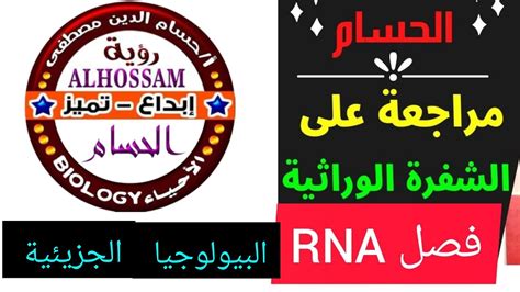 Rna Youtube